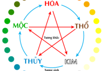 Màu hợp mệnh Thủy theo phong thủy trong thiết kế nội thất Màu hợp mệnh Thủy theo phong thủy trong thiết kế nội thất