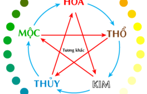 Màu hợp mệnh Thủy theo phong thủy trong thiết kế nội thất